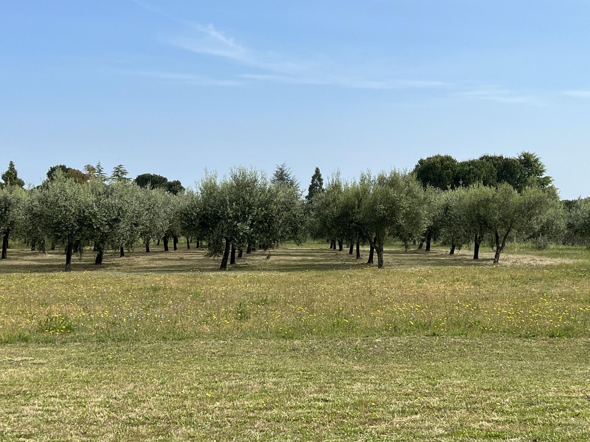 Varios Valle di venere