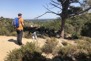 Alojamiento - Casa Mia