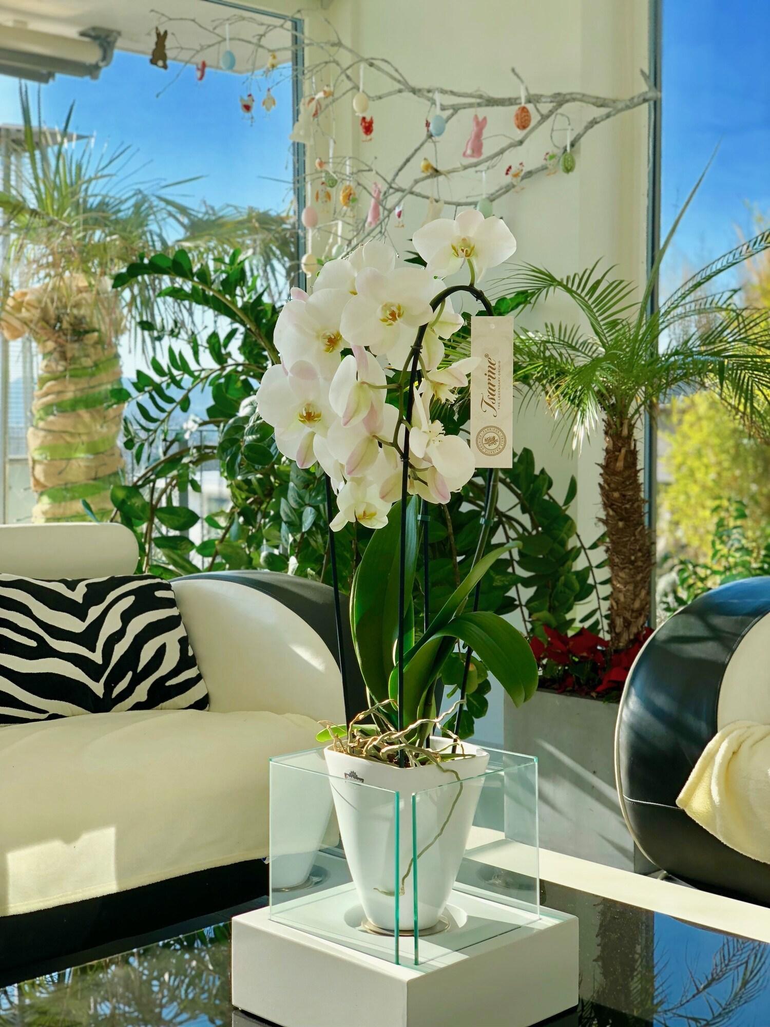 Vista Lobby Perfect Lifestyle Design Boutique