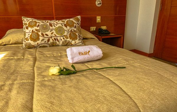 Hotel Tikary