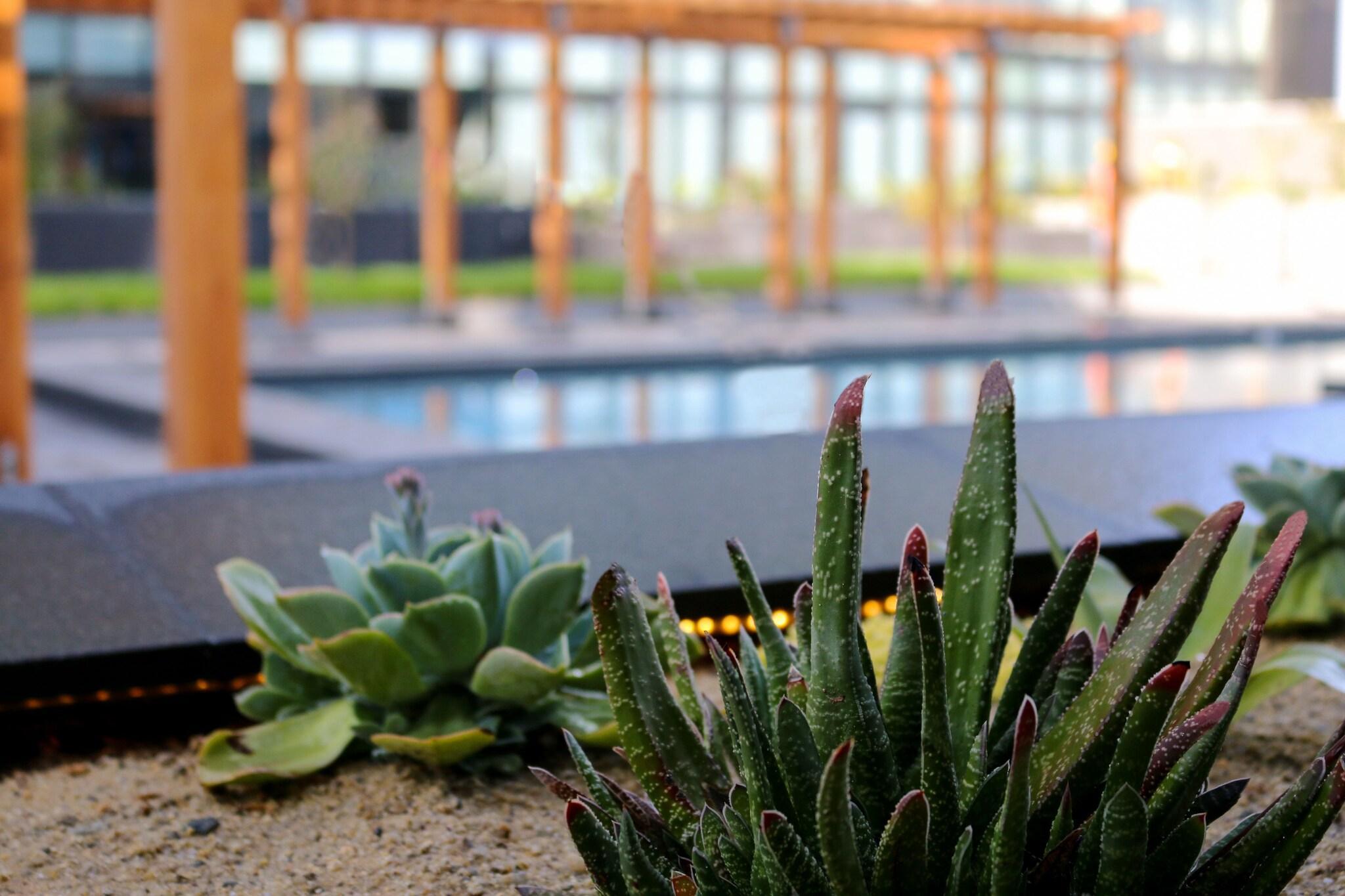 Vista Exterior Quartz Hotel & SPA