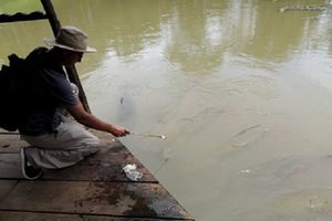 Actividad - PIK - FD Rio Amazonas & Nativos Yagua Serpentario