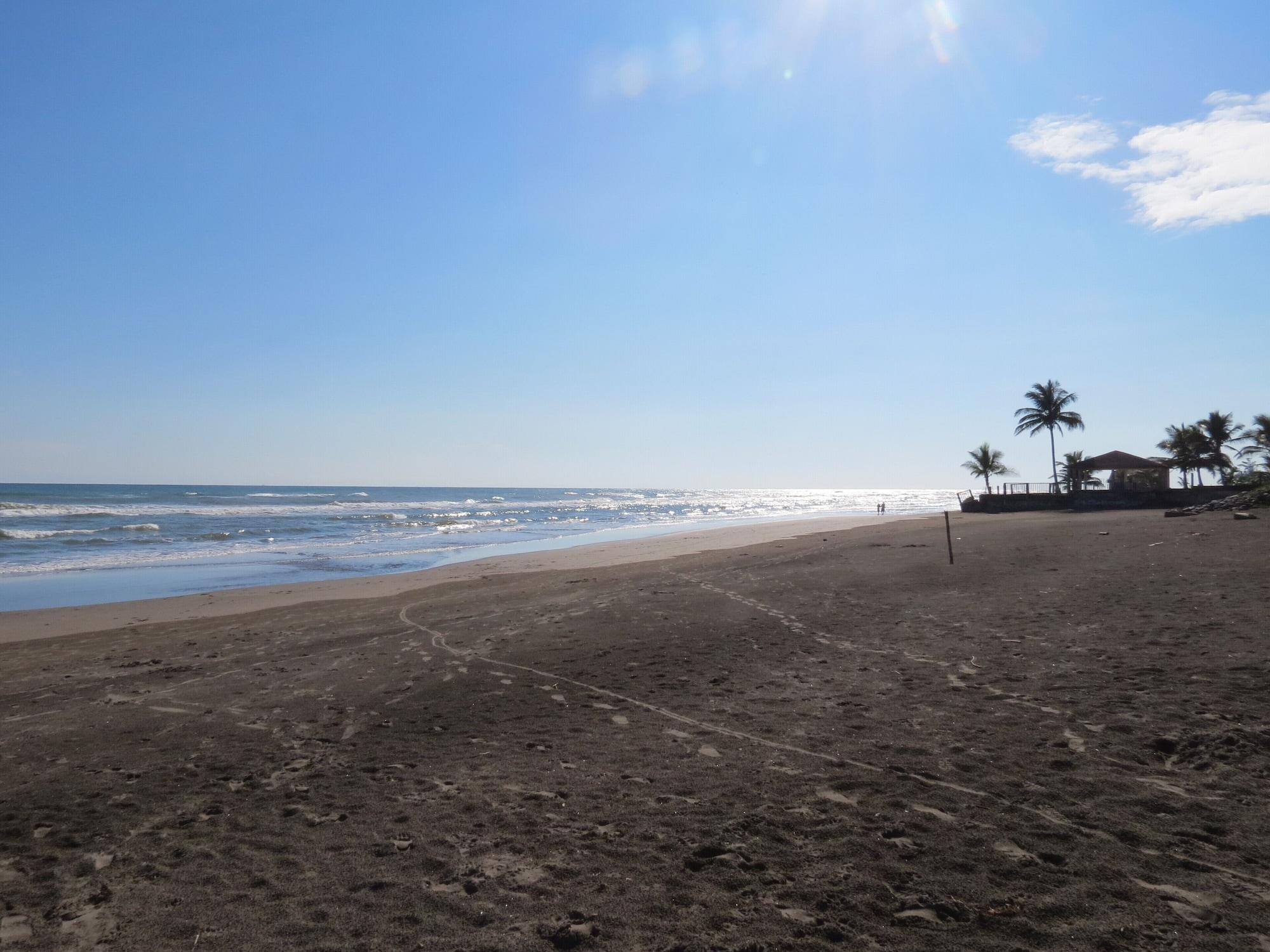 Varios Eco Coco Loco by Rotamundos