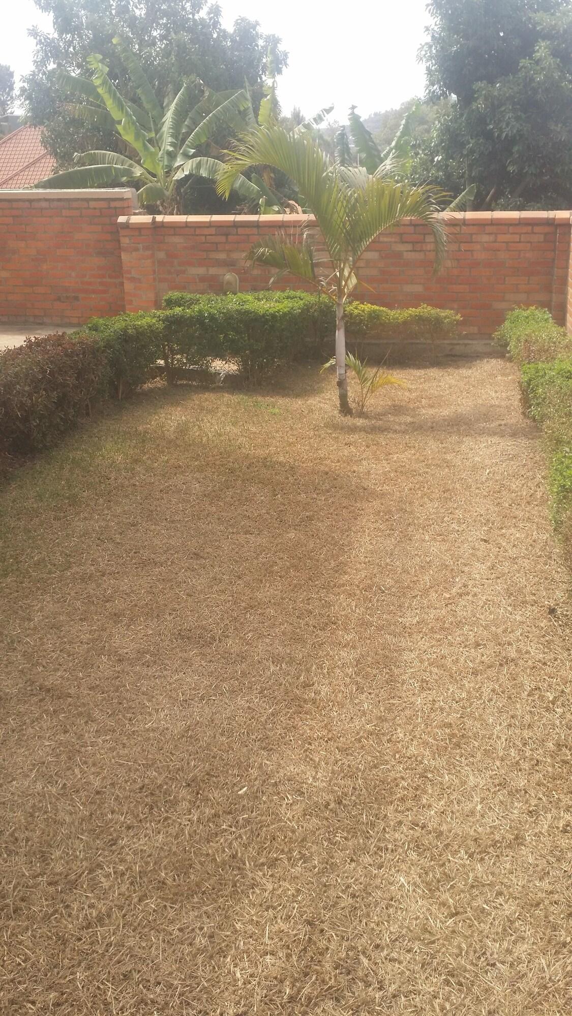 Varios EstaCode Suites- Classic