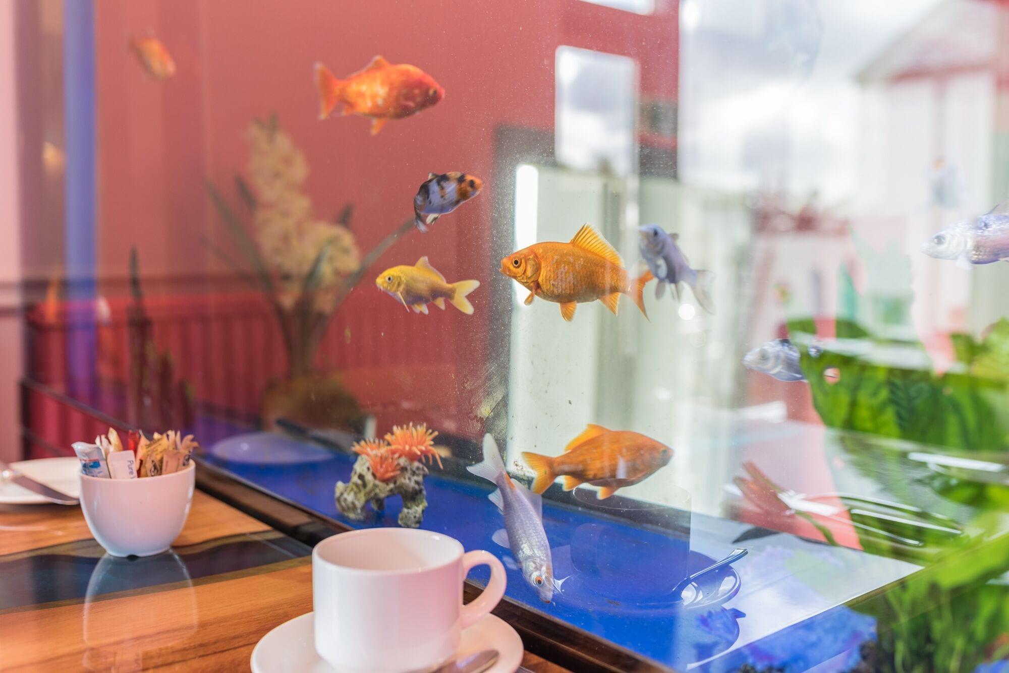 Restaurant The Fisherbeck