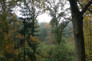 Alquiler Vacacional - 8 Person Holiday Home in Hadsund-by Traum