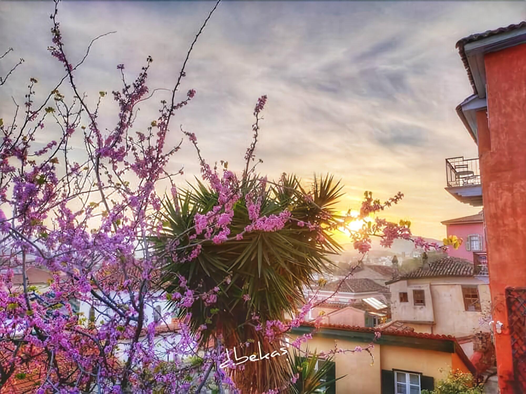 Vista Exterior Byron Hotel