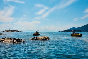 Actividad - Tour de medio día por la ciudad y cataratas de Vancouver