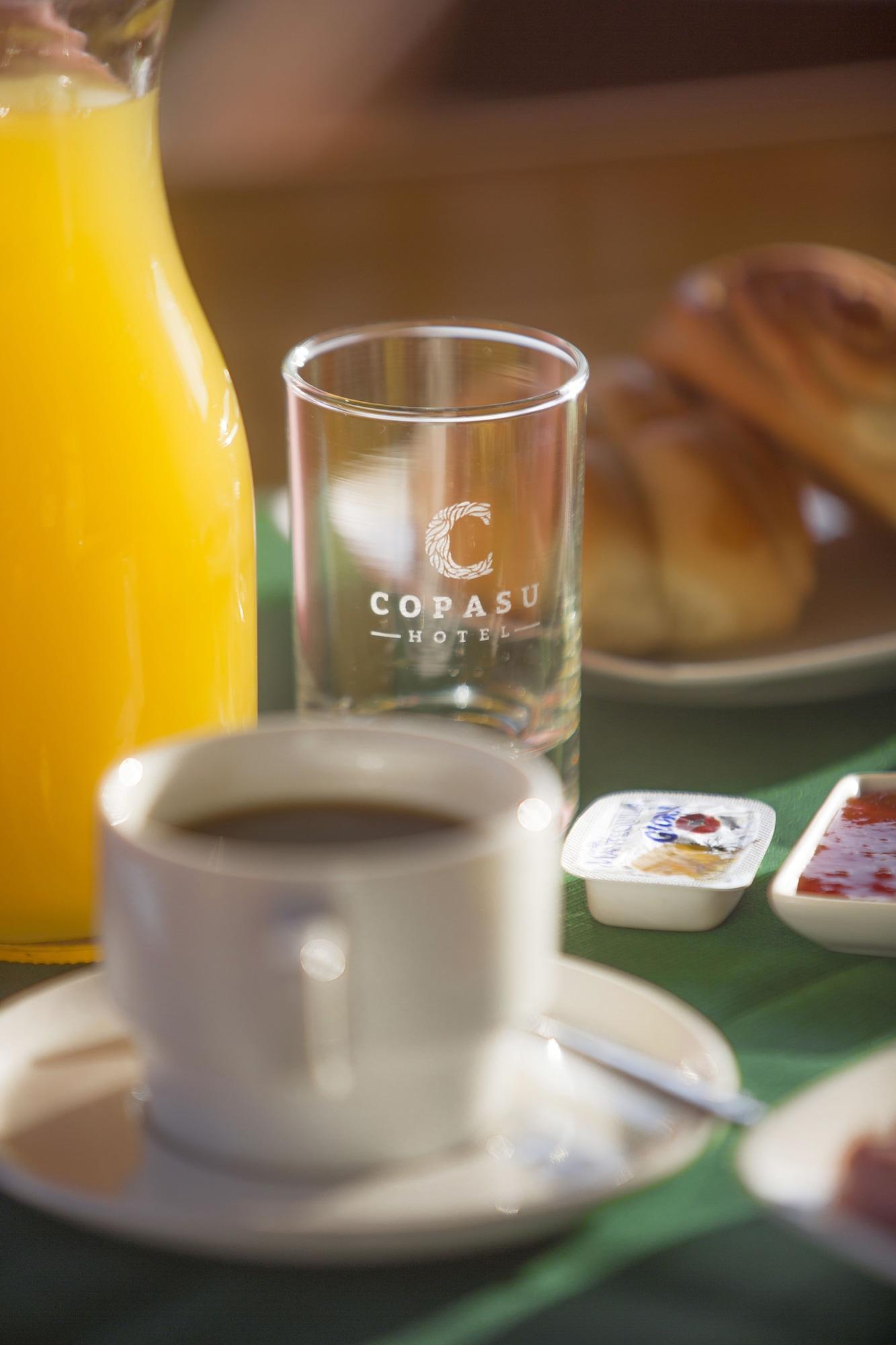 Bar/Salón Copasu Hotel