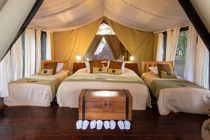 Alquiler Vacacional - Karen Blixen Camp
