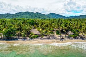 Actividad - Full day playas de palomino