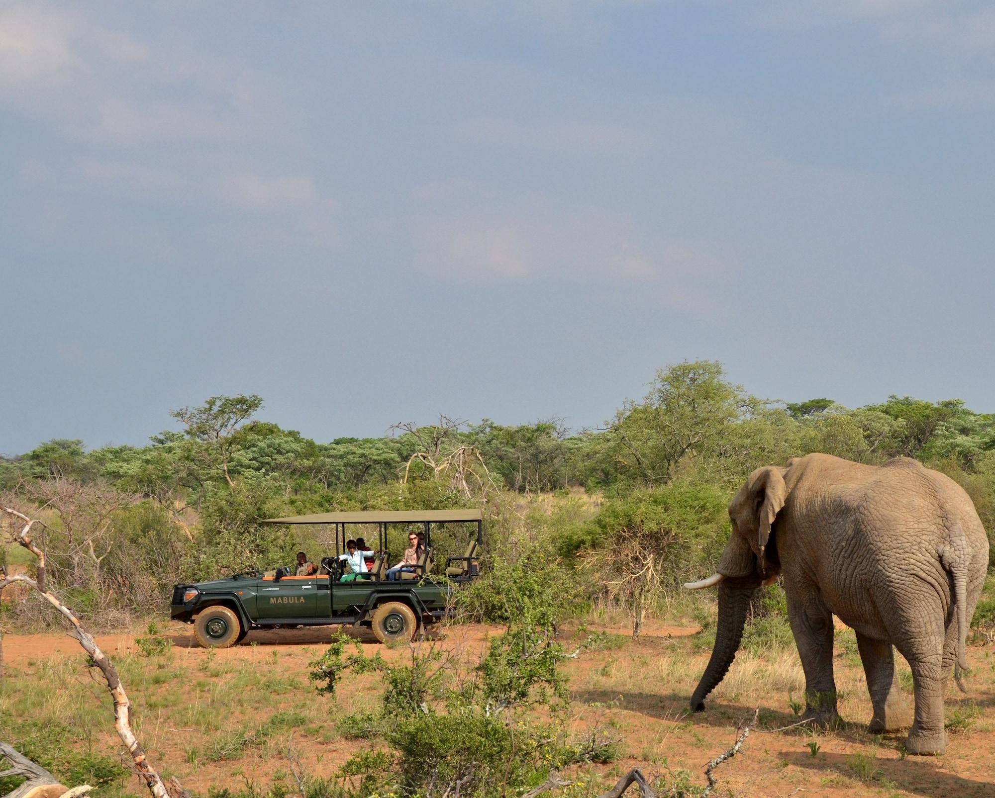 Instalaciones Recreativas Kwafubesi Tented Safari Camp