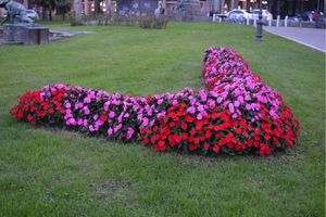 Alojamiento - Stazione