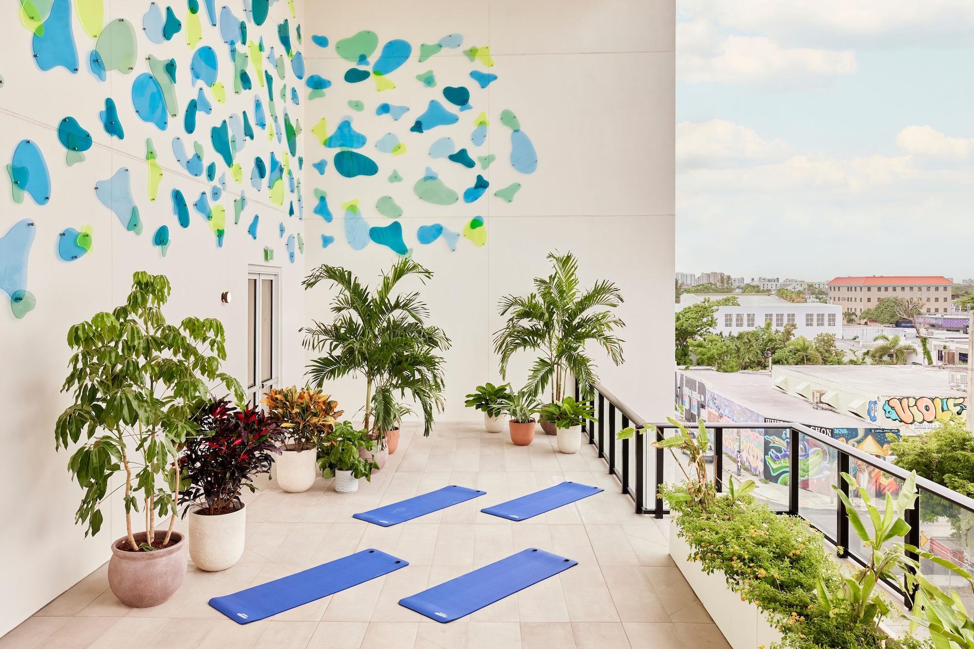 Gimnasio Arlo Wynwood Miami