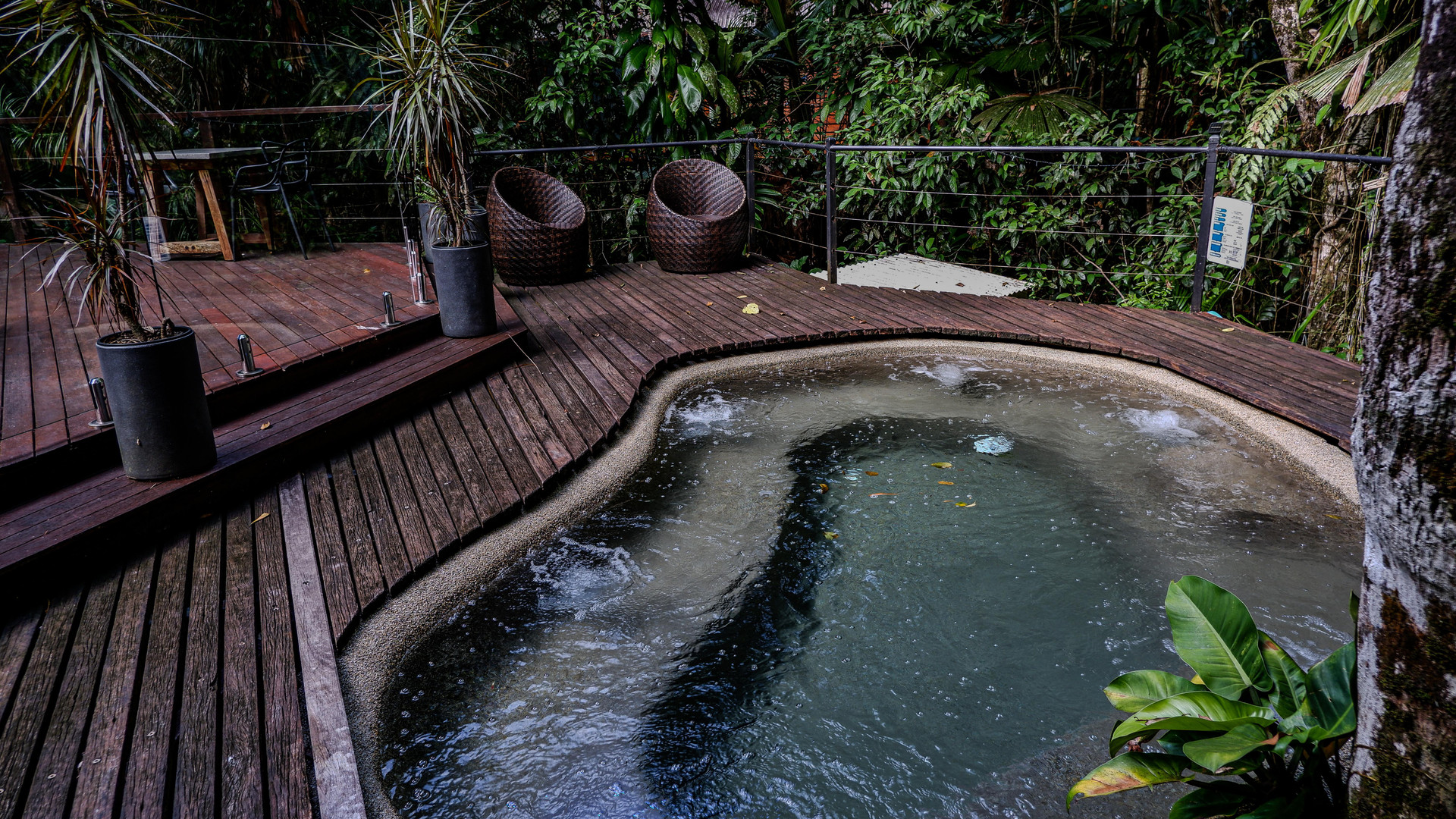 Vista Piscina Daintree Wilderness Lodge