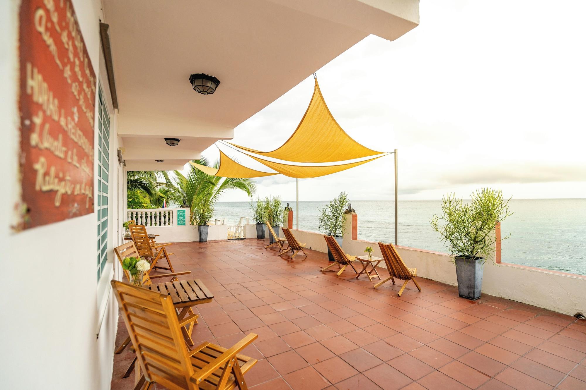 Varios Coconut Palms Rincon