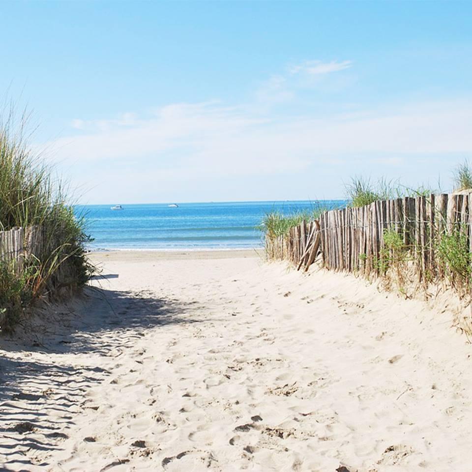 Playa In Situ