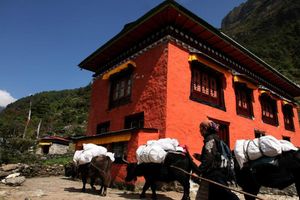 Alojamiento - Mountain Lodges of Nepal - Phakding