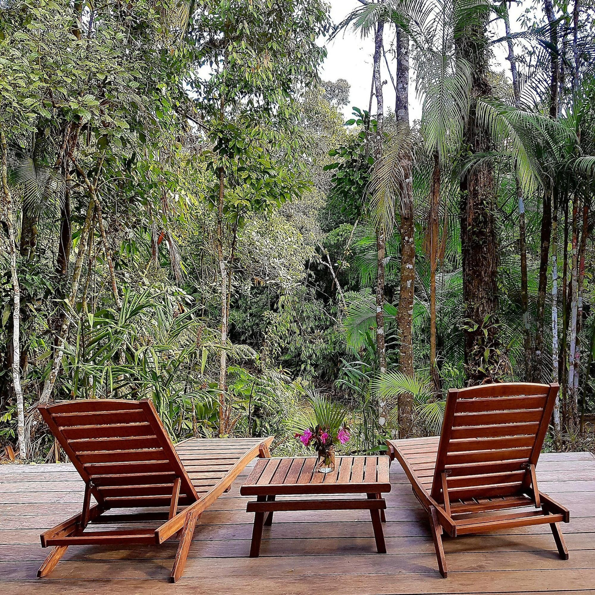 Habitación Kanawha Eco Hotel