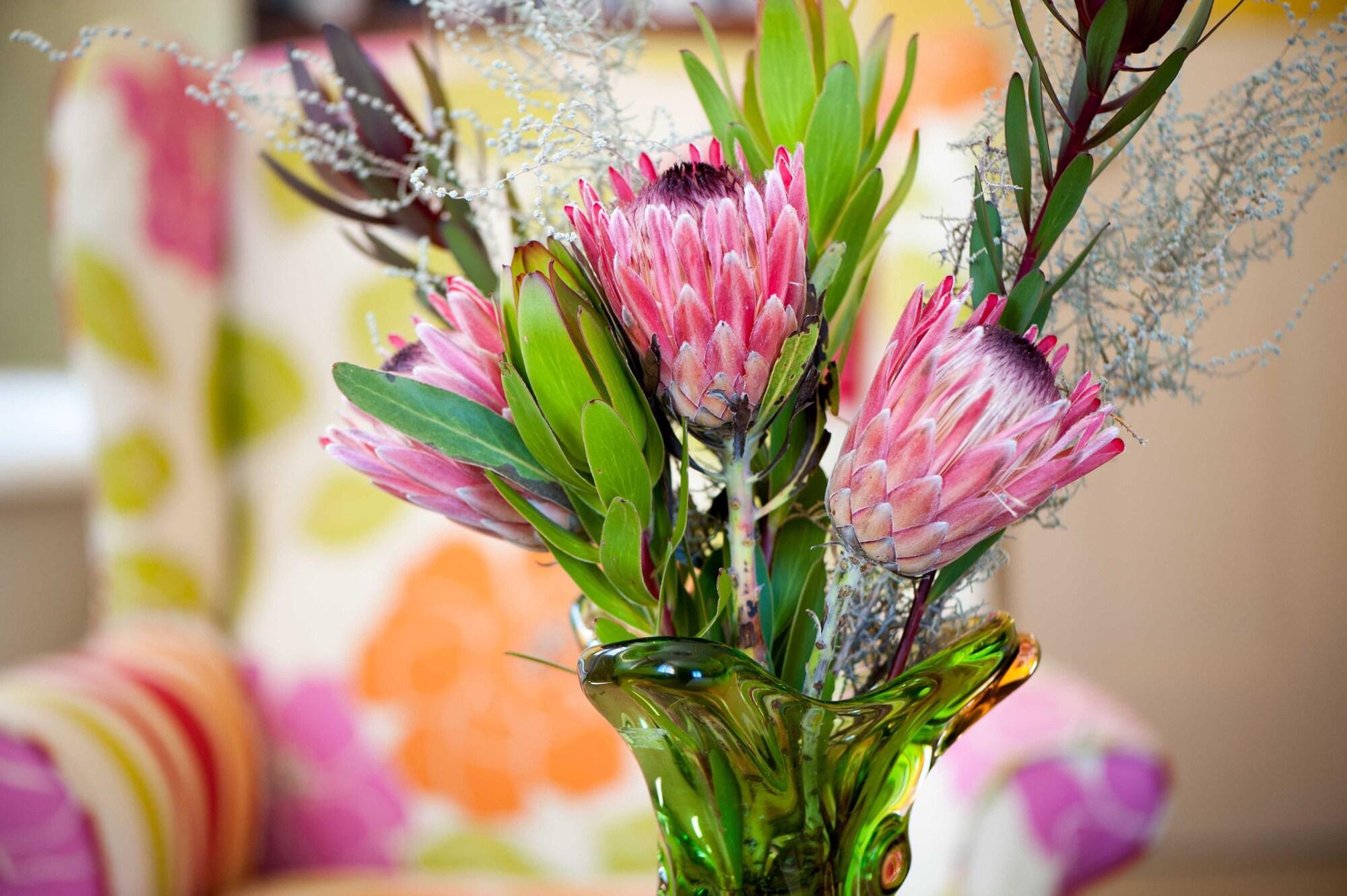 Vista Lobby Karoo Art Hotel