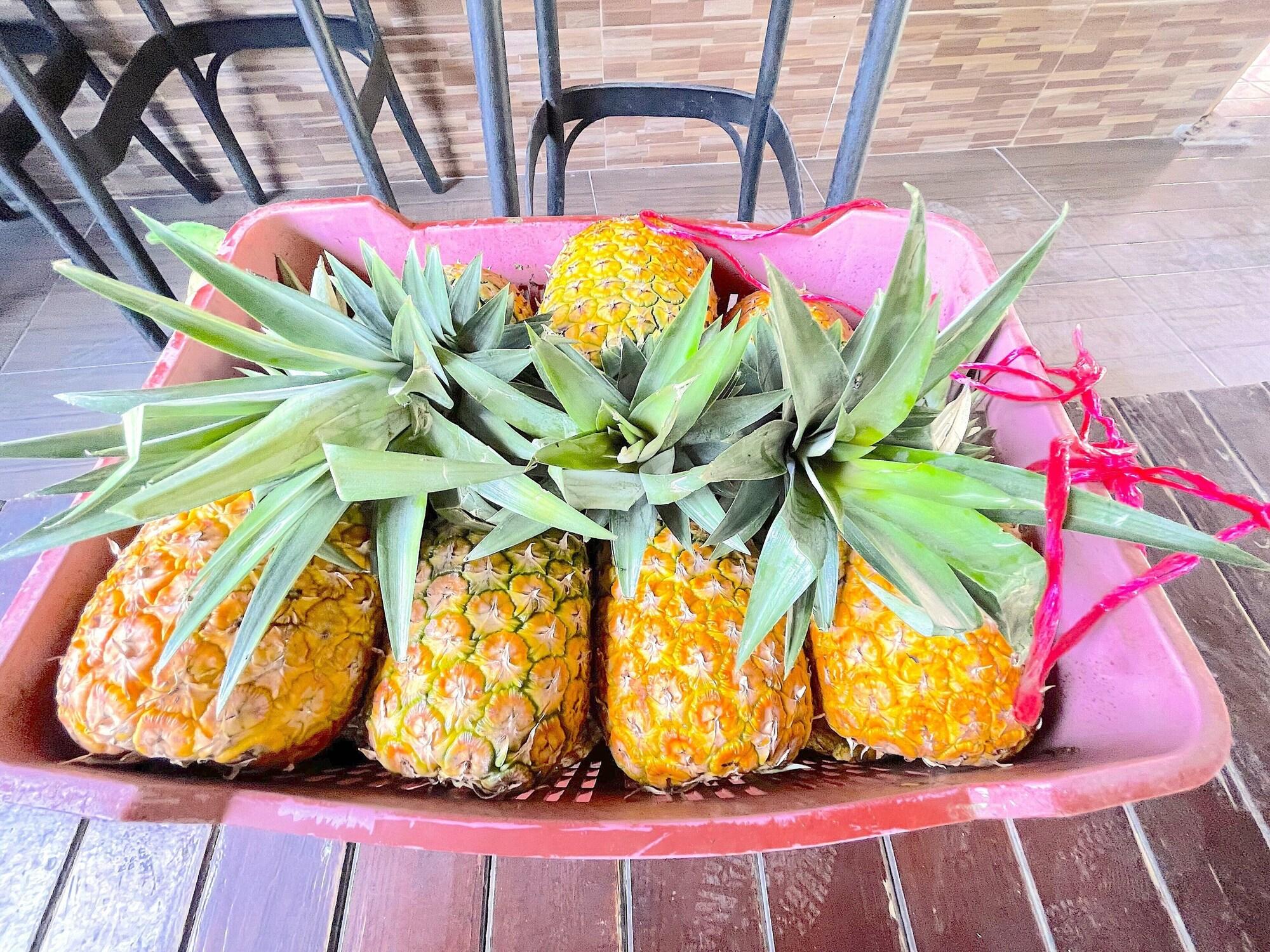 Hotel Caribbean Galaxy hotel BEACH WIFI SPA