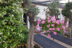 Alojamiento - Hotel Villa Karda