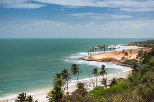 Actividad - Playa de Lagoinha con buggy, catamarán y monos