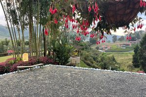 Alojamiento - FINCA HOTEL BARILOCHE