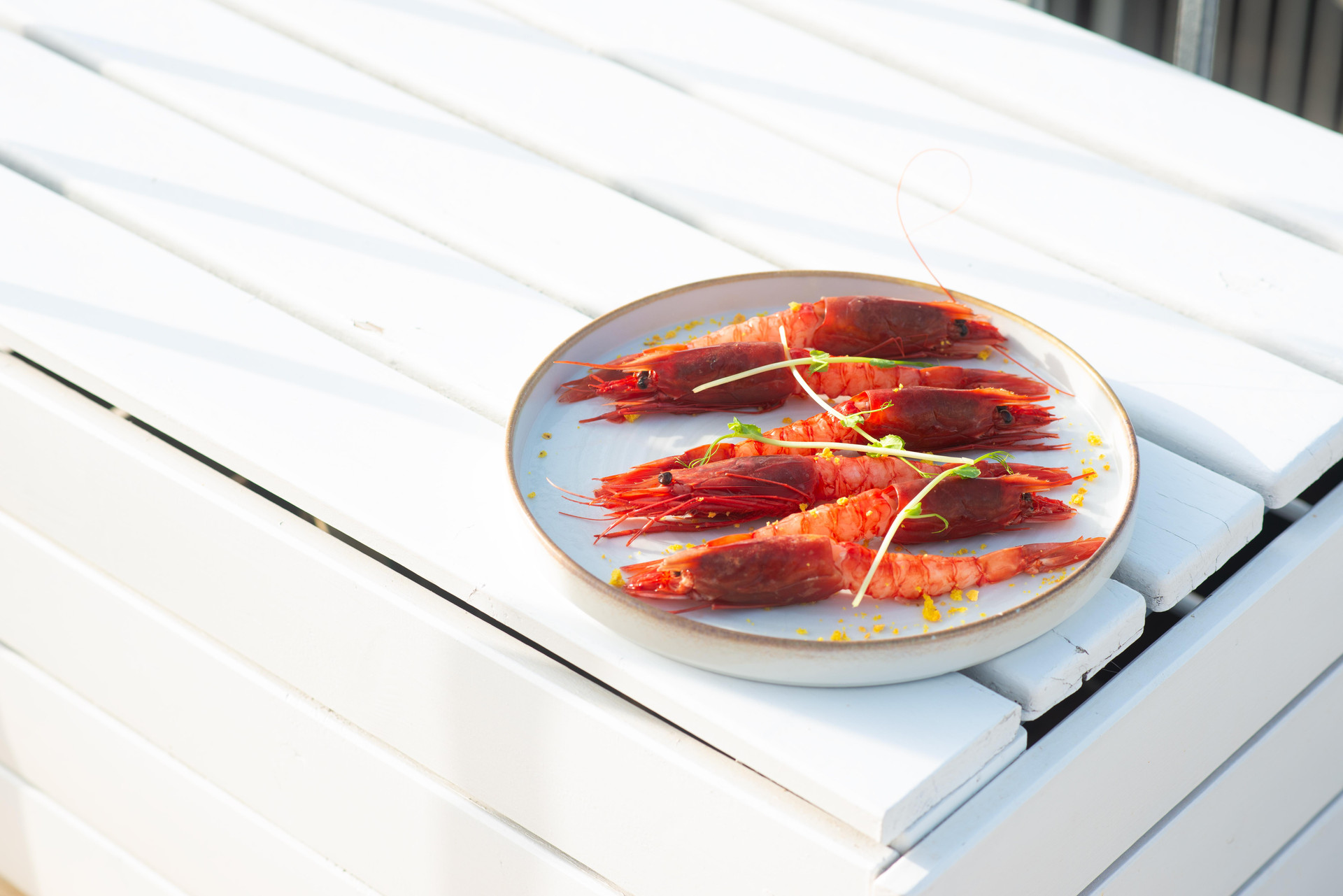 Bar/Salón Hotel Palazzo Papaleo