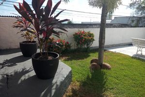 Alojamiento - Sol Praia Ponta Negra