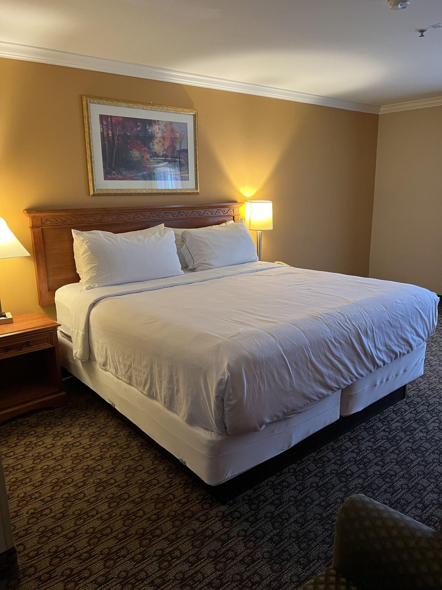 Habitación Hotel Xola