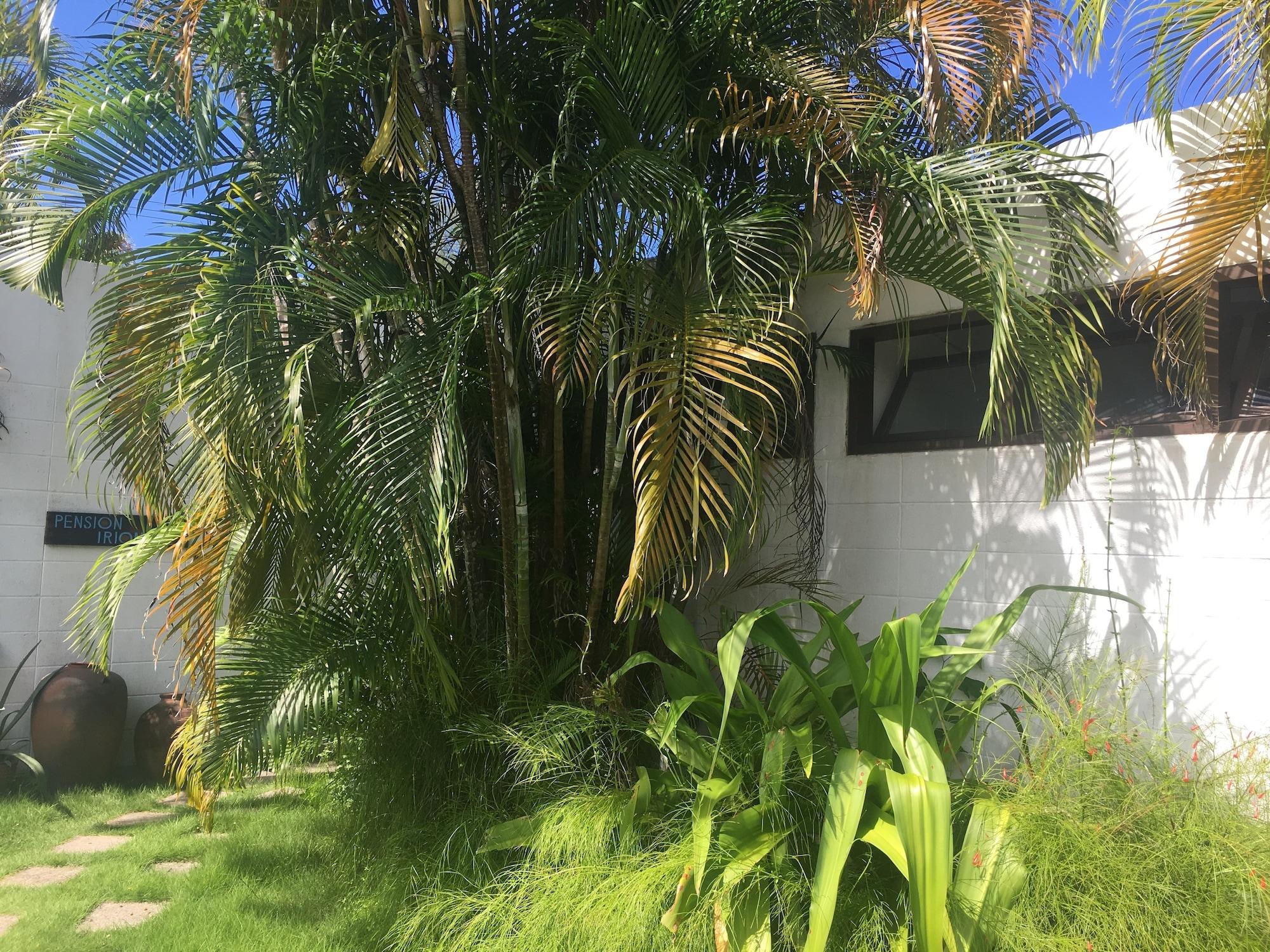 Vista Exterior Pension Iriomote