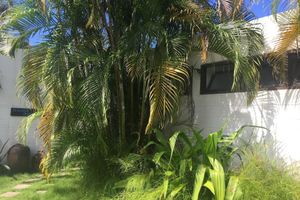 Alojamiento - Pension Iriomote