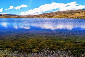 Actividad - Paramo de Santurban