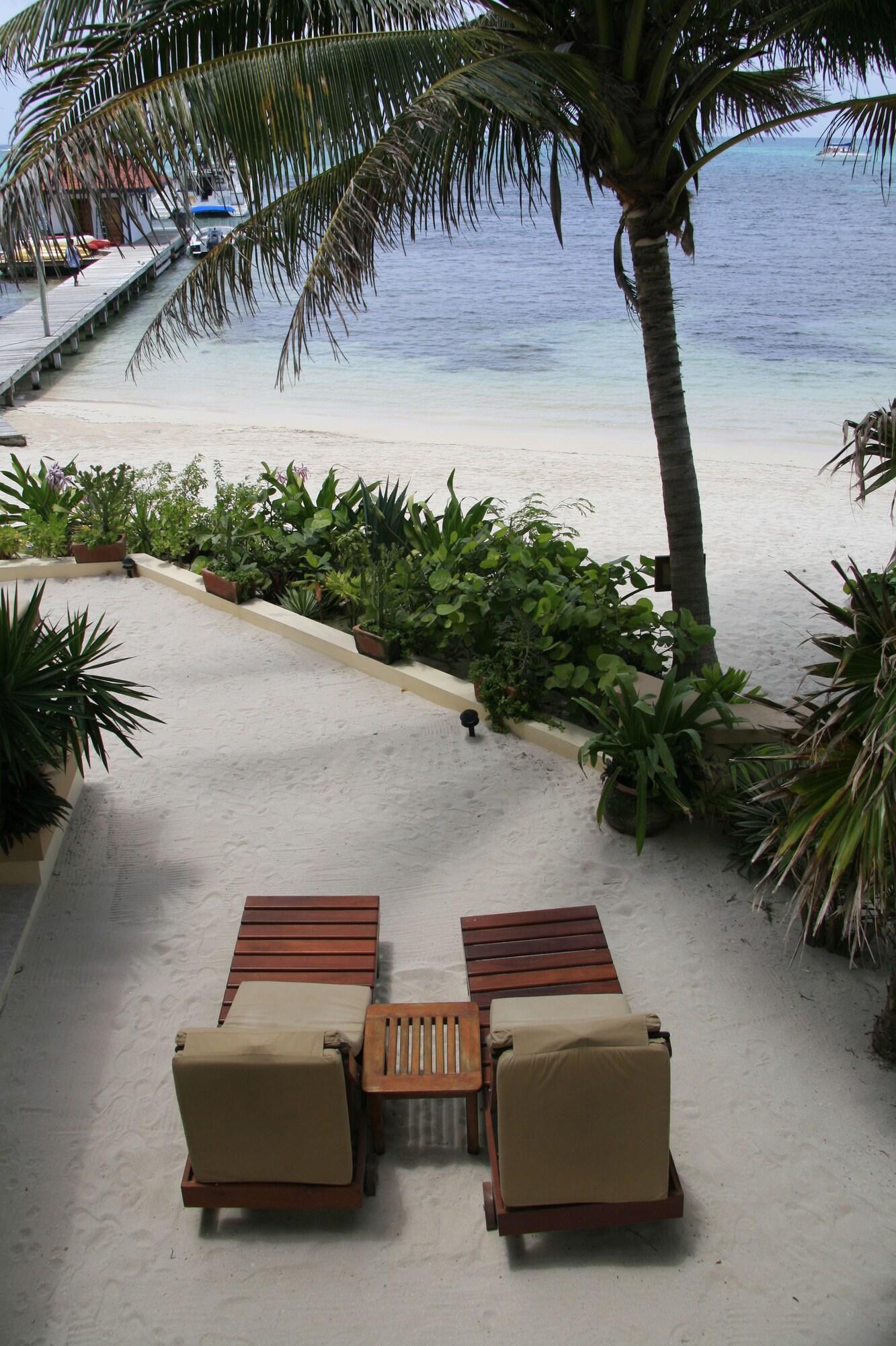 Playa The Palms Oceanfront Suites
