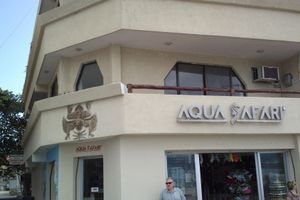 Alojamiento - Safari Inn