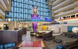 Disney's Contemporary Resort