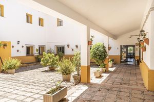 Alojamiento - Marbella Inturjoven Youth Hostel