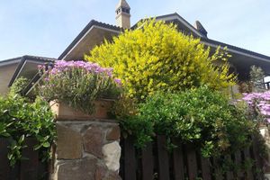 Alojamiento - Bed And Breakfast Europe