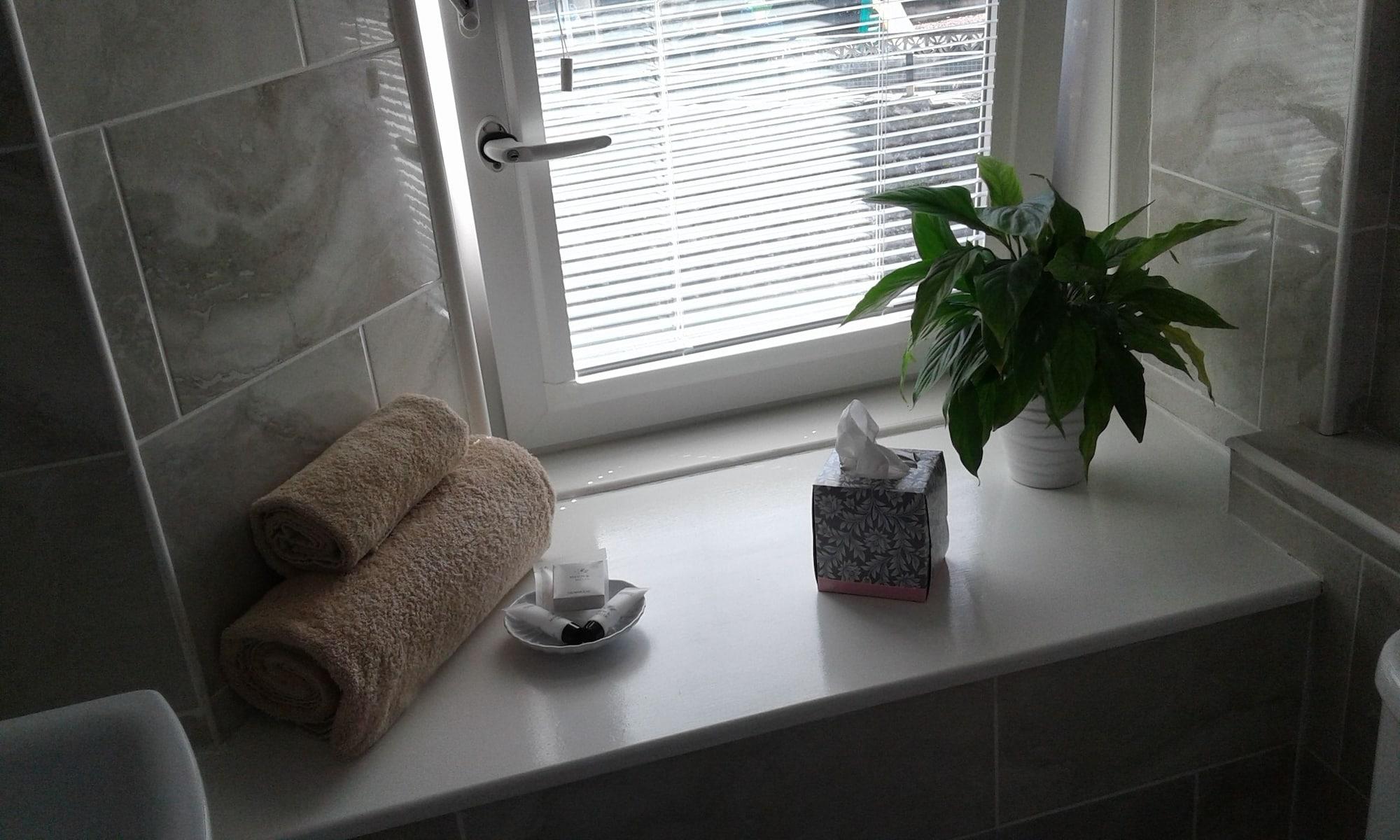 Equipamiento de Habitación Adelphi Villa