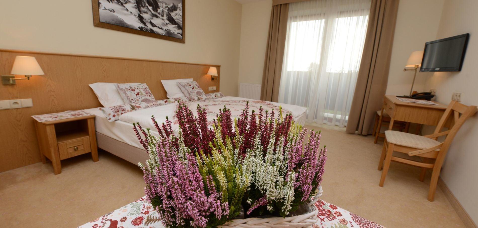 Habitación Hotel Alpejski