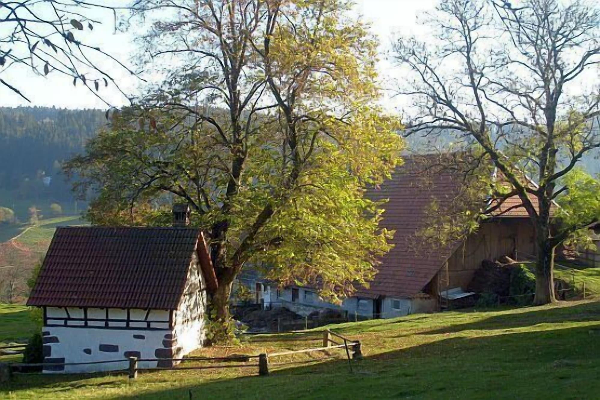 Varios Schwarzwaldgasthaus Linde