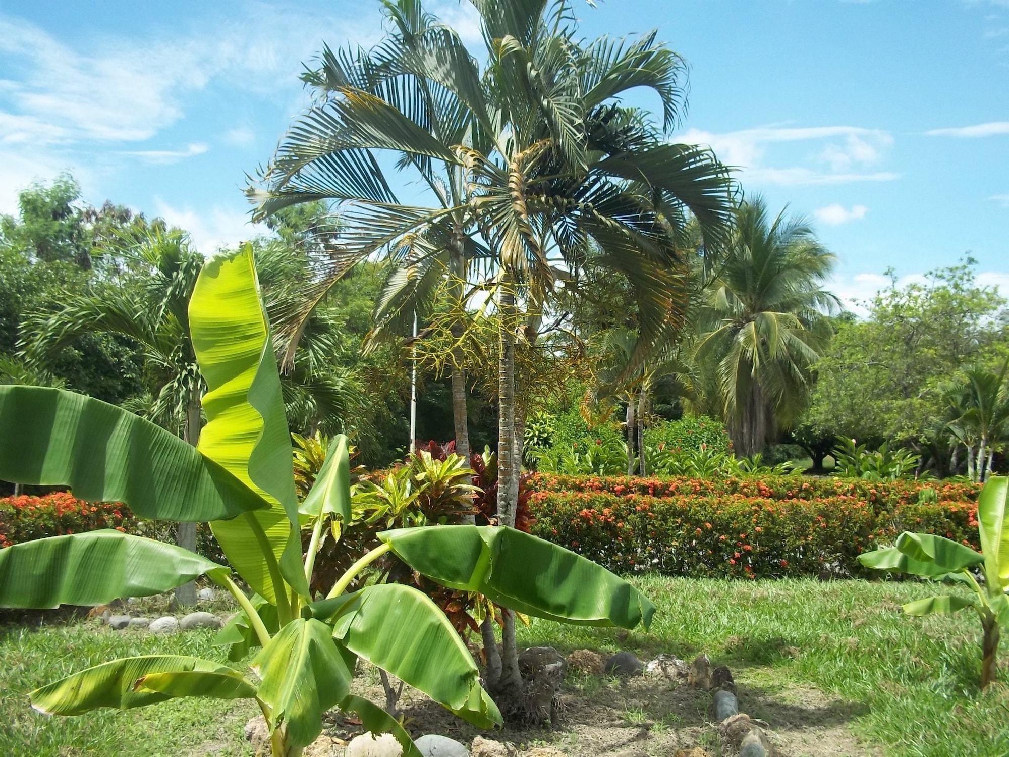 Comodidades del Alojamiento Hotel Albatros