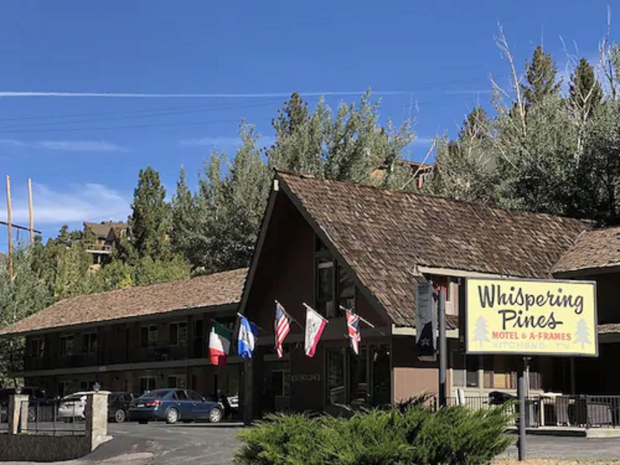 Varios Whispering Pines