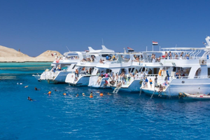 Actividad - Crucero en yate por Ras Mohamed con almuerzo