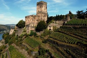 Alojamiento - Burg Gutenfels