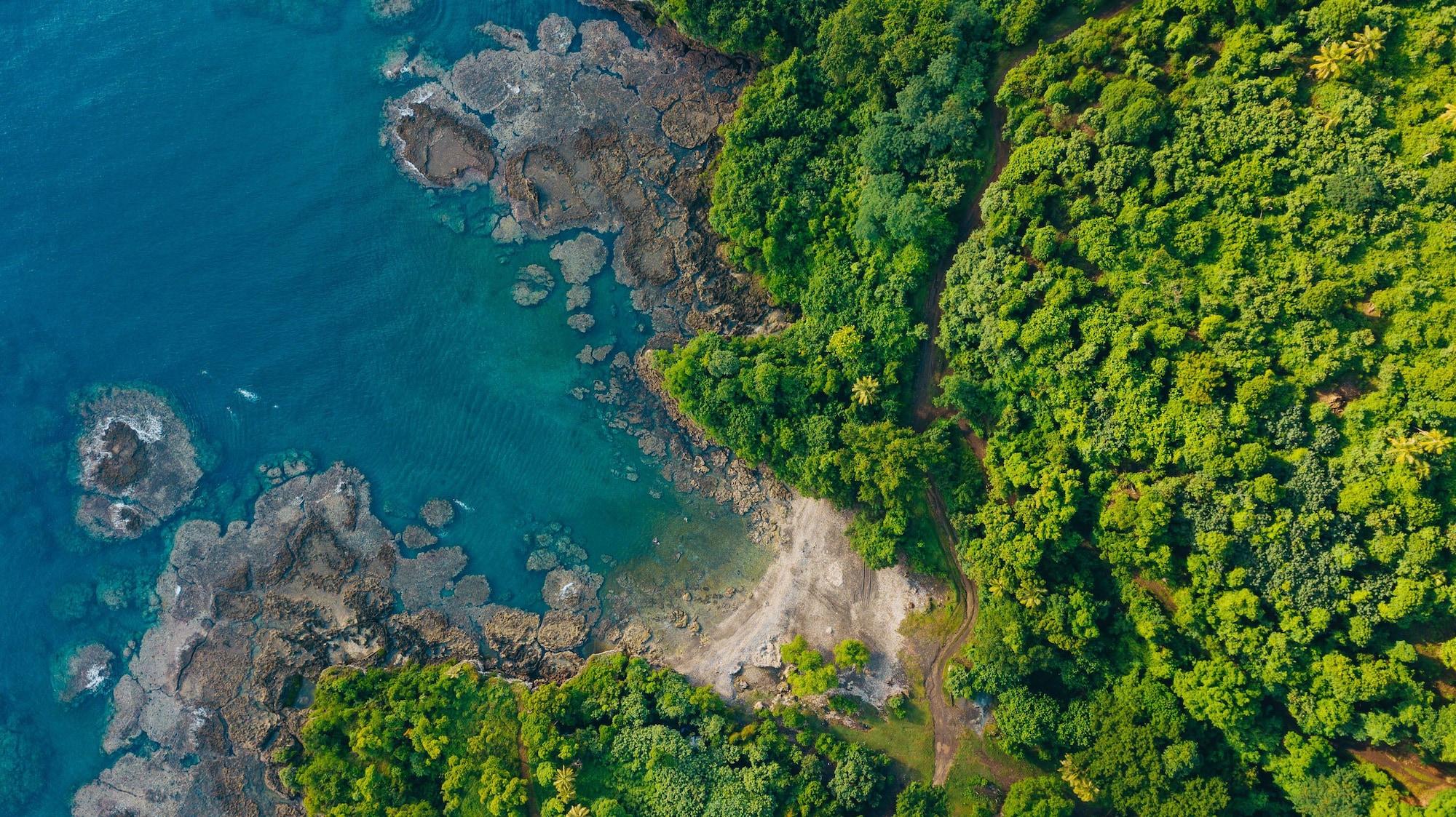 Playa White Grass Ocean Resort