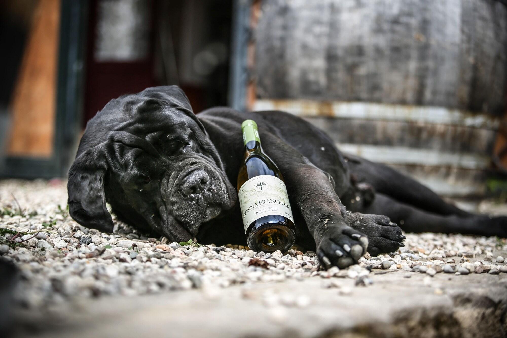 Vista Exterior Corte San Mattia - Agriturismo in Verona
