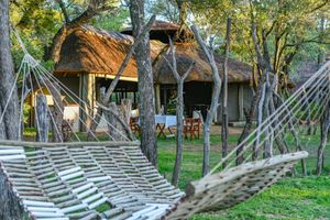 Alojamiento - Mziki Safari Lodge