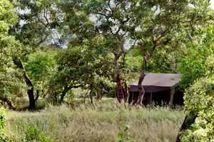 Arriendo temporal - Kruger Untamed - Satara Plains Camp